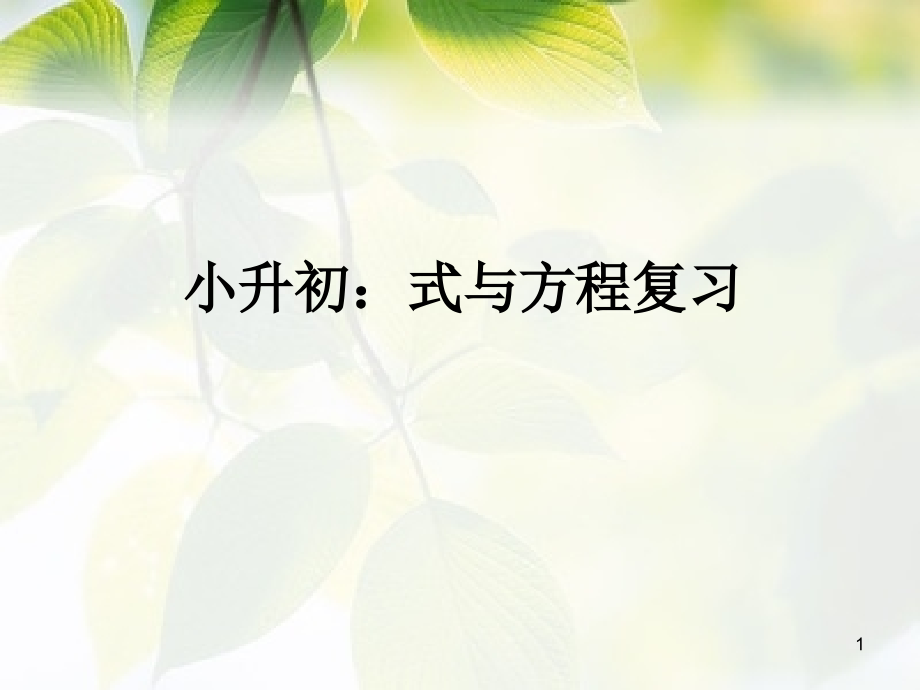 六年级数学小升初《式与方程复习》ppt课件_第1页