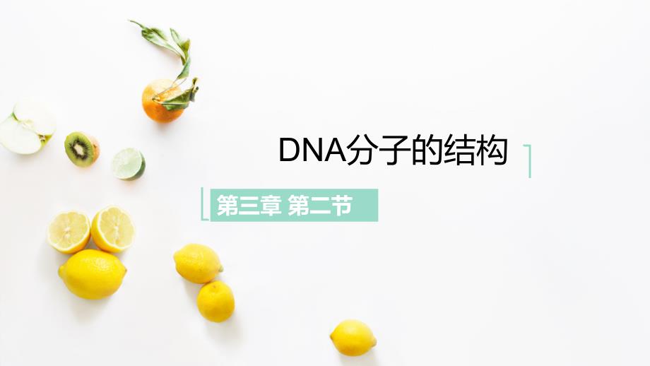 DNA分子的结构(优质ppt课件)_第1页