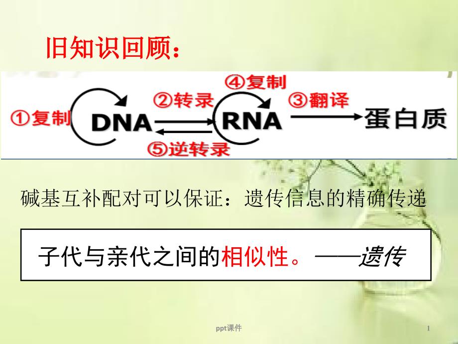 基因突变和基因重组(公开课)--ppt课件_第1页