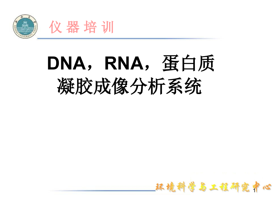 DNA-RNA-蛋白质凝胶成像分析系统ppt课件_第1页