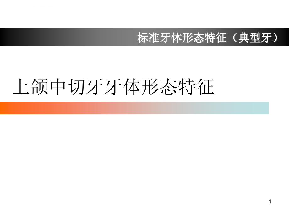 上颌中切牙形态特征简述ppt课件_第1页