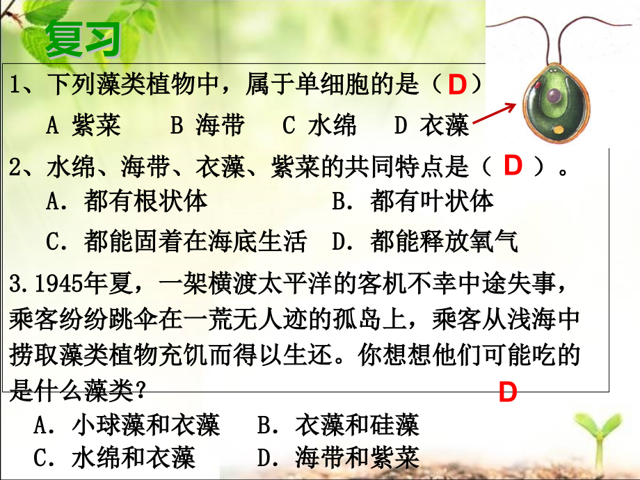 苔藓植物和蕨类植物概述ppt课件_第1页