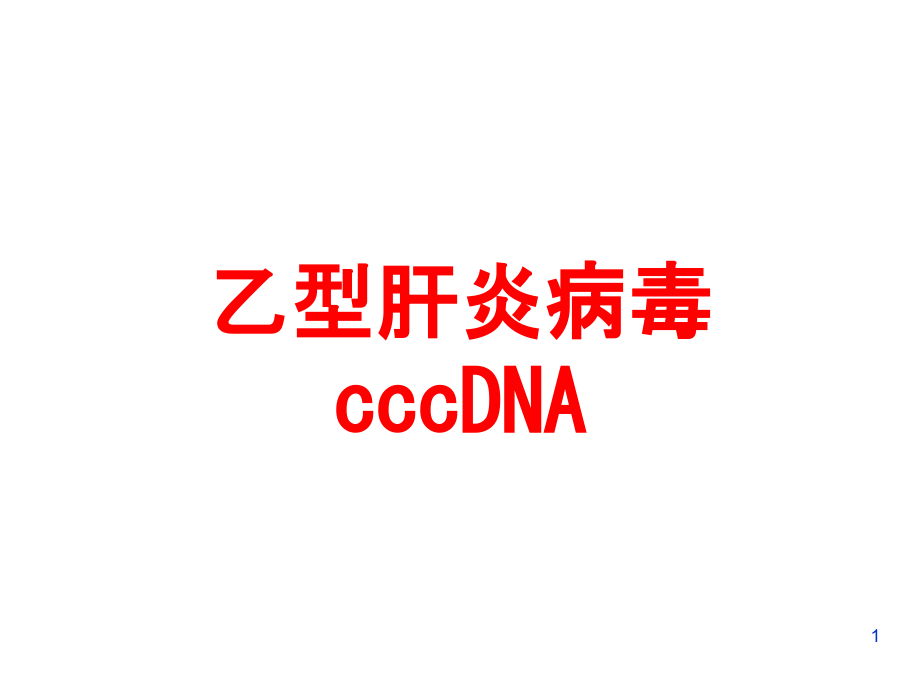 乙型肝炎病毒cccDNA培训ppt课件_第1页