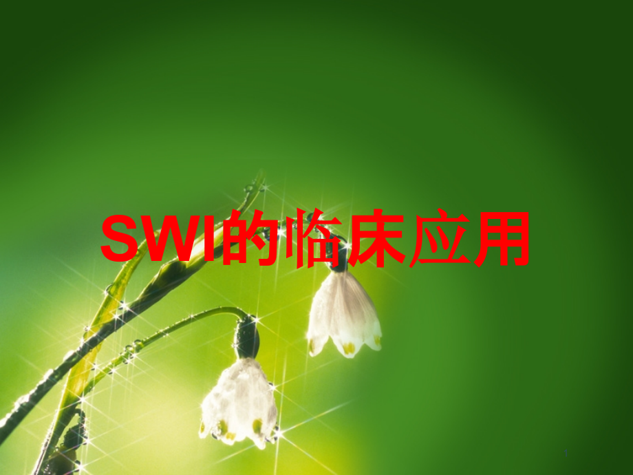 SWI的临床应用培训ppt课件_第1页