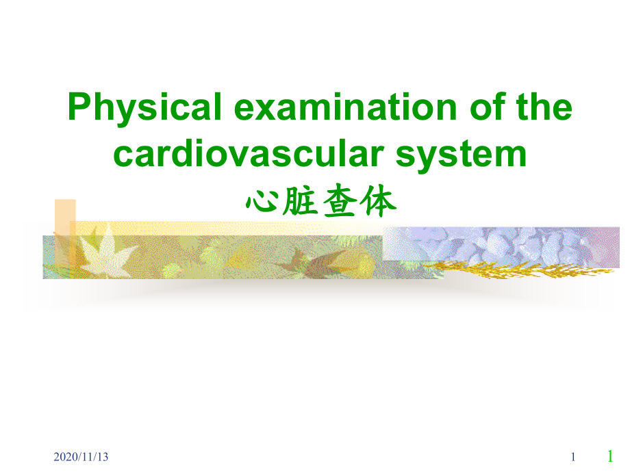 心脏体格检查-课件1_第1页
