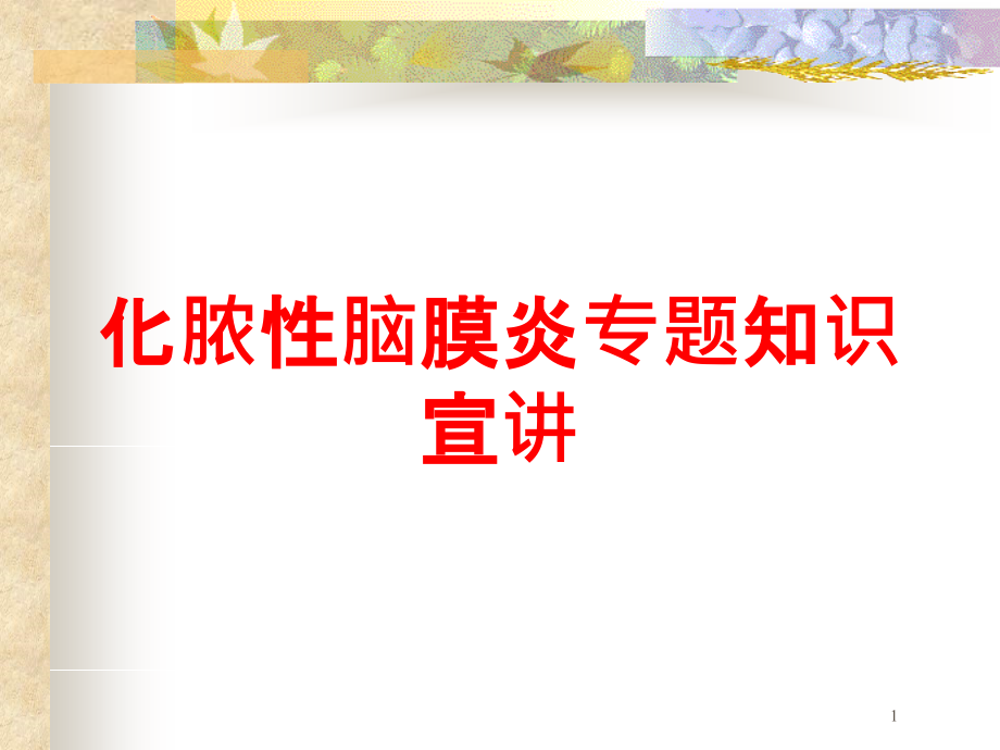 化脓性脑膜炎专题知识宣讲培训ppt课件_第1页