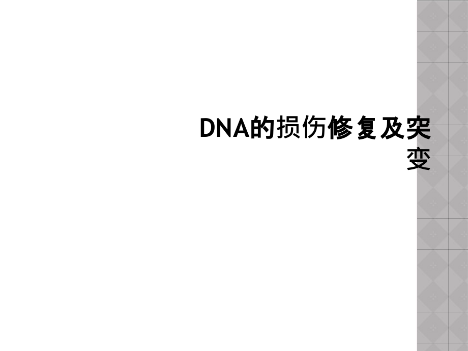 DNA的损伤修复及突变课件_第1页