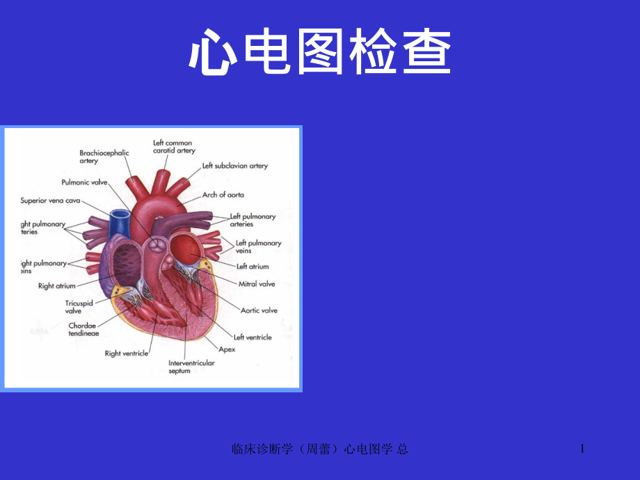 临床诊断学心电图学-总ppt课件_第1页