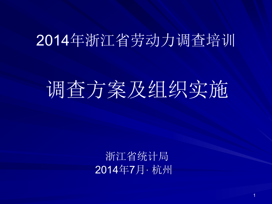 劳动力调查组织实施课件_第1页