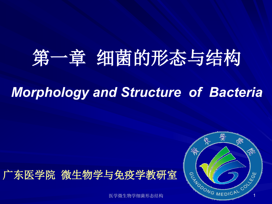 医学微生物学细菌形态结构ppt课件_第1页