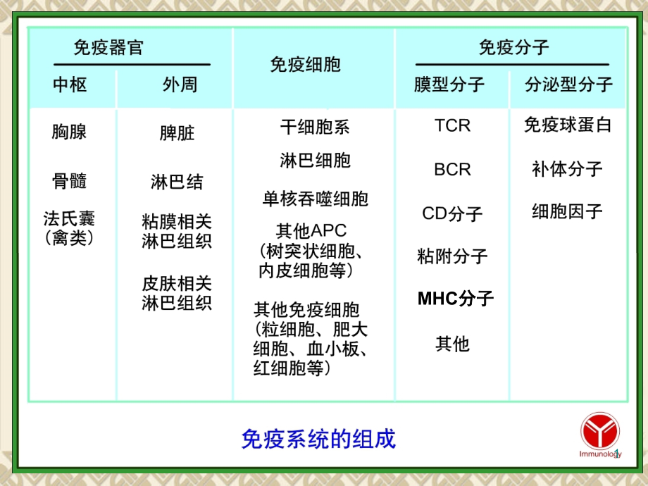 免疫学主要组织相容性复合体课件_第1页