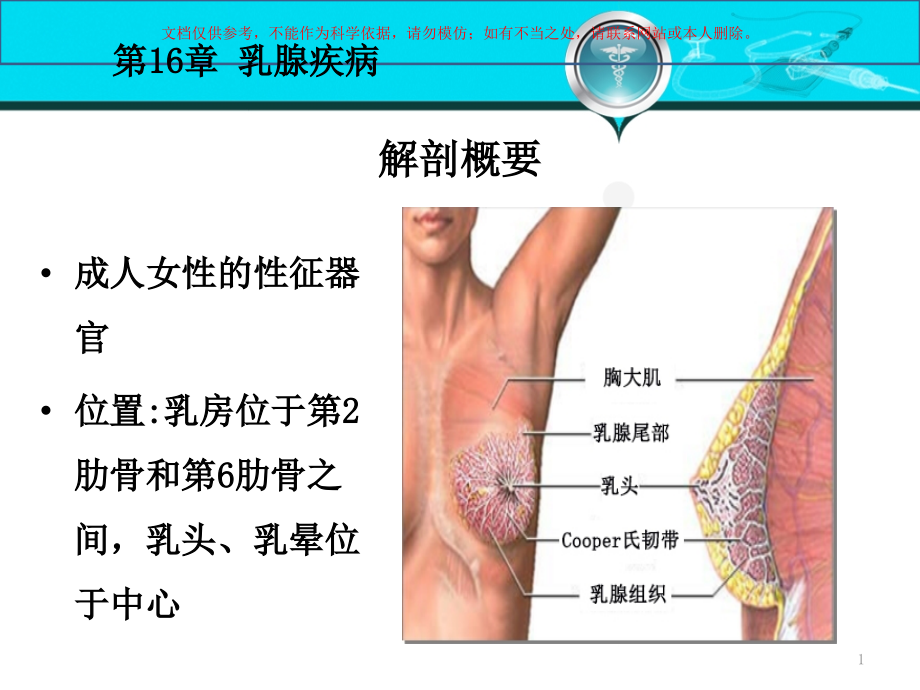 外科学乳腺疾病培训ppt课件_第1页