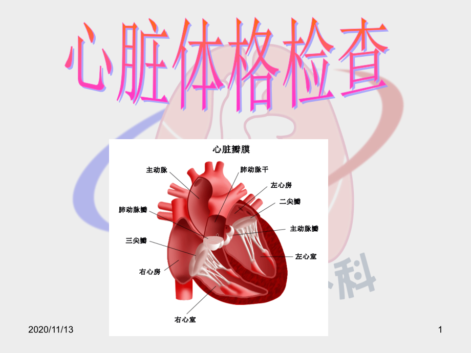 心脏体格检查-1-课件_第1页