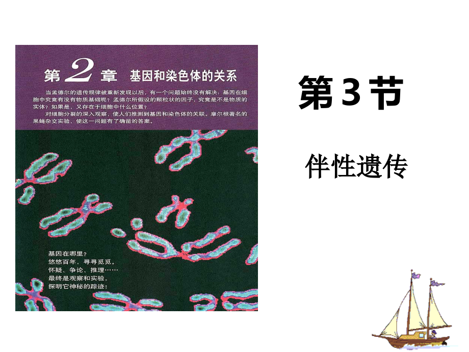 人教版生物《伴性遗传》课件_第1页