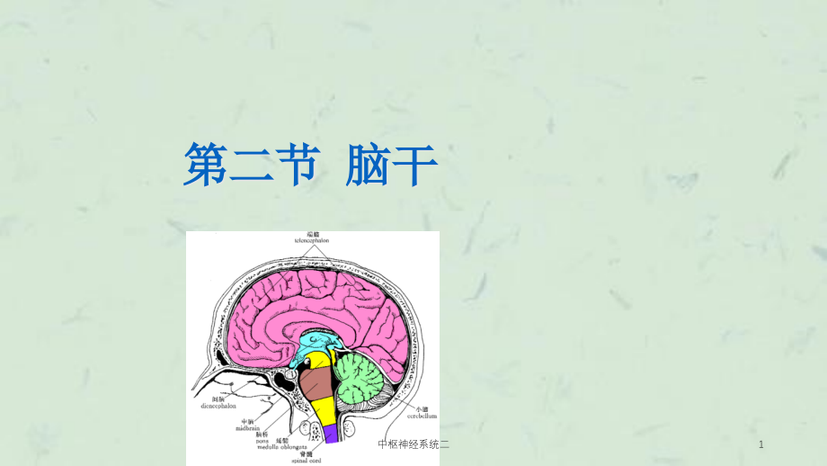 中枢神经系统二ppt课件_第1页