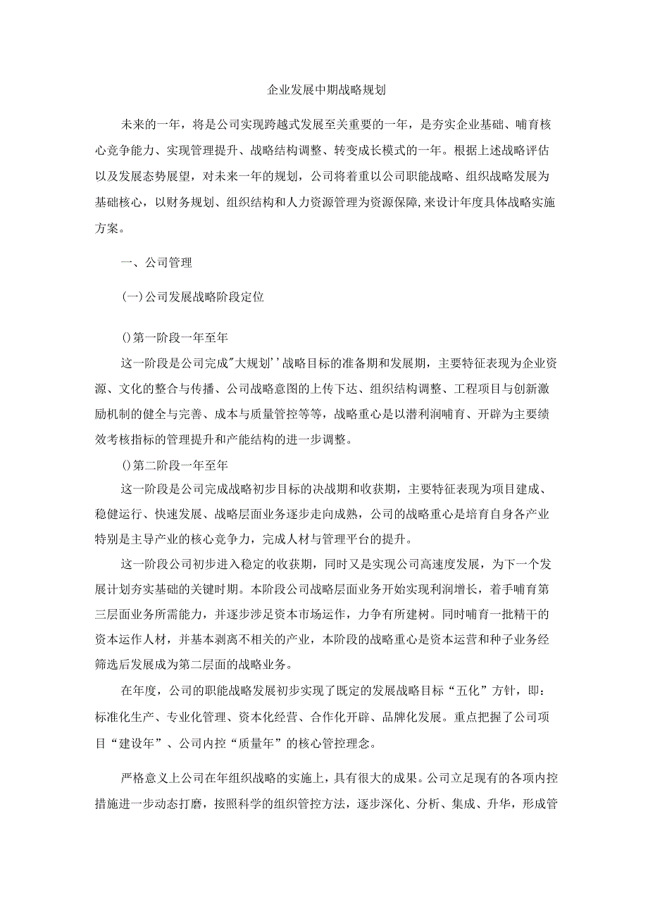 企业发展中期战略规划_第1页