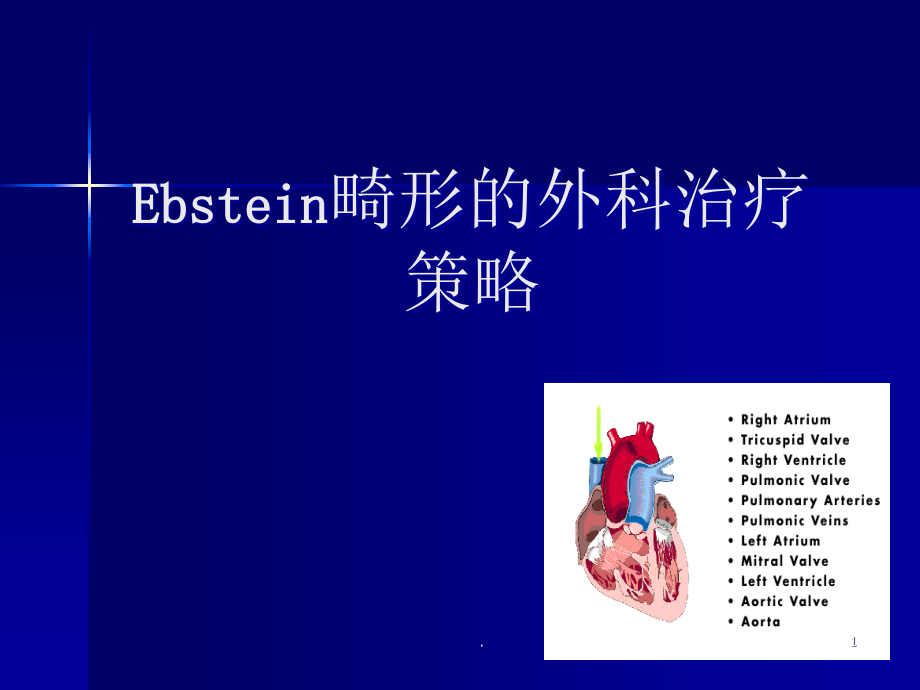 Ebstein畸形的外科治疗课件_第1页