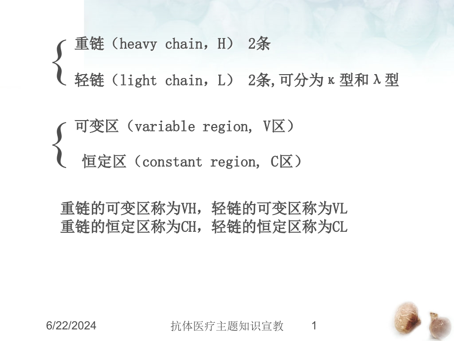 抗体医疗主题知识宣教培训课件_第1页