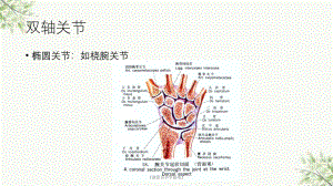 《康復(fù)運(yùn)動(dòng)學(xué)基礎(chǔ)》ppt課件