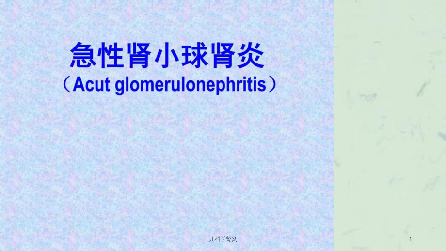 儿科学肾炎ppt课件_第1页