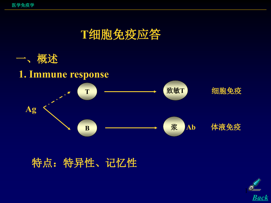 T细胞免疫应答医学免疫学课件_第1页