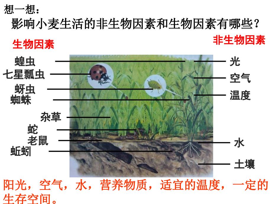 初中生物四本书全部重点内容培训 医学ppt课件_第1页