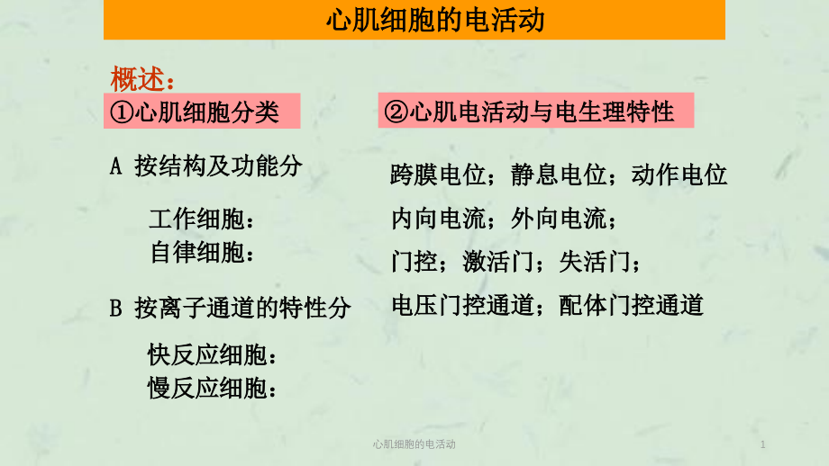 心肌细胞的电活动课件_第1页