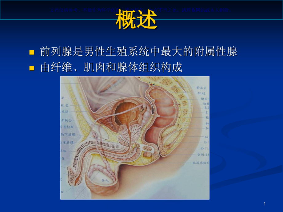 前列腺的MR检查ppt课件_第1页