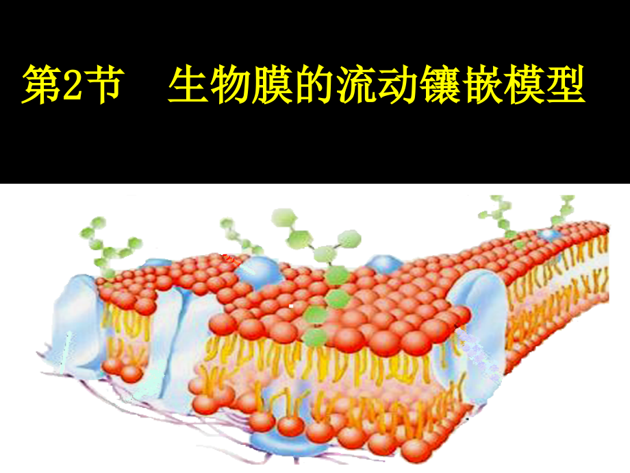 人教版生物必修一《生物膜的流动镶嵌模型》ppt课件_第1页