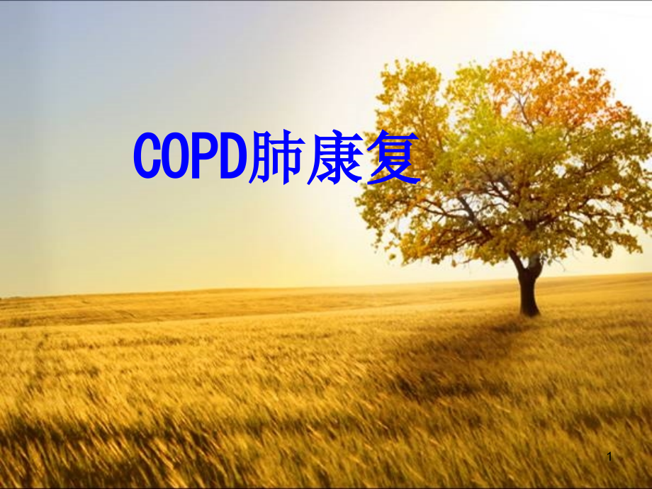 COPD肺康复培训 培训ppt课件_第1页