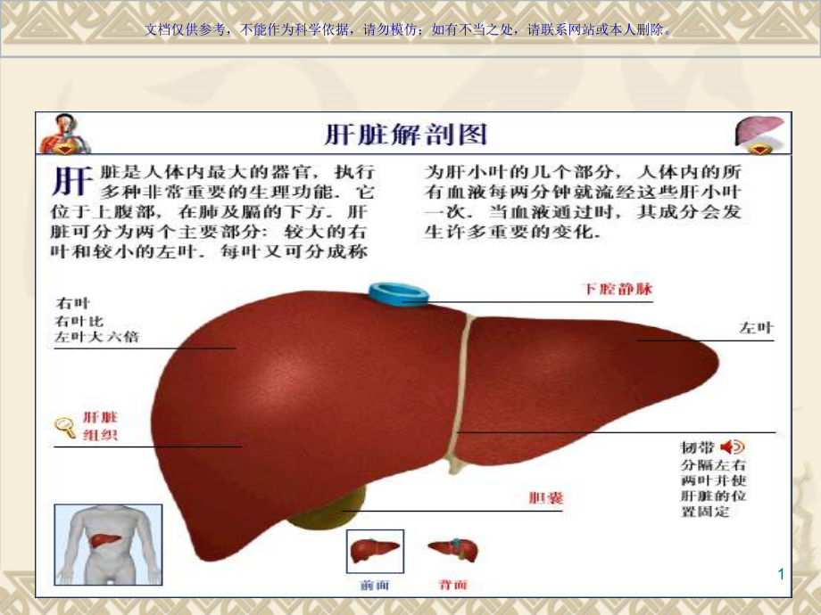 原发性肝癌的手术配合ppt课件_第1页