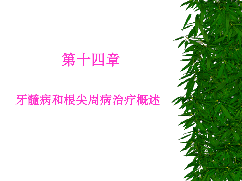 口腔牙体牙髓病学第十四章牙髓病和根尖周病治疗概述课件_第1页