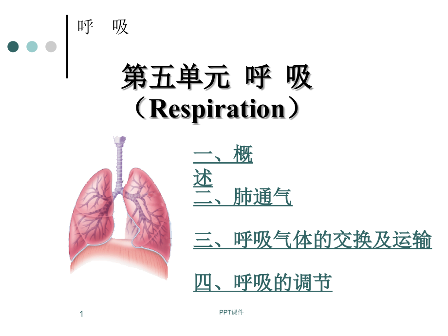 执业兽医资格考试生理学--呼吸系统--课件_第1页