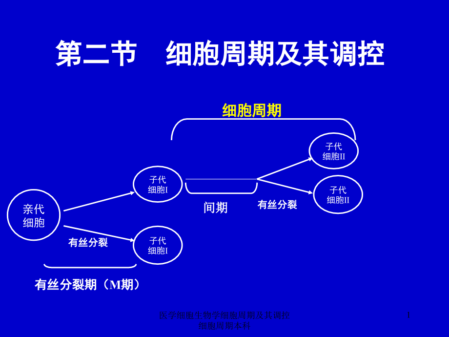 医学细胞生物学细胞周期及其调控细胞周期本科ppt课件_第1页