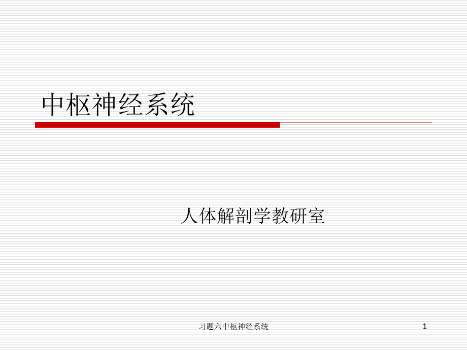 习题六中枢神经系统ppt课件_第1页