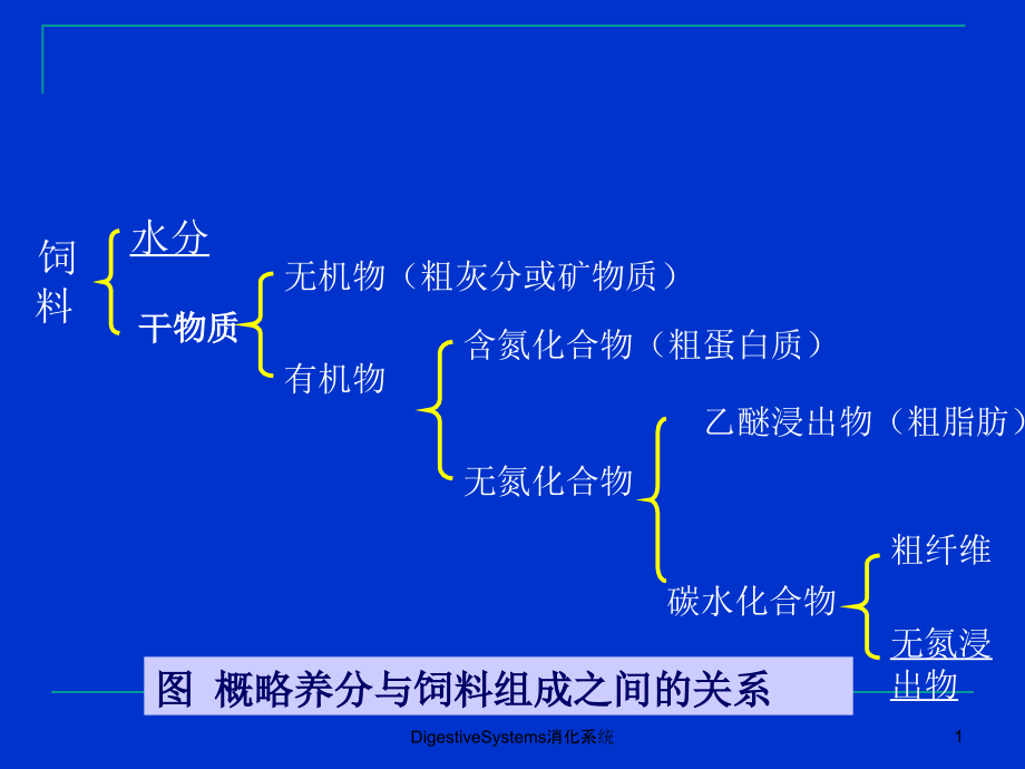 DigestiveSystems消化系统ppt课件_第1页