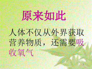 七年級生物下冊呼吸道對空氣的處理人教新標版課件