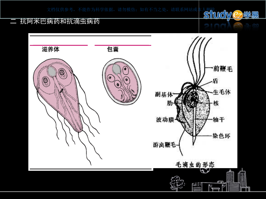 抗阿米巴病药和抗滴虫病药ppt课件_第1页