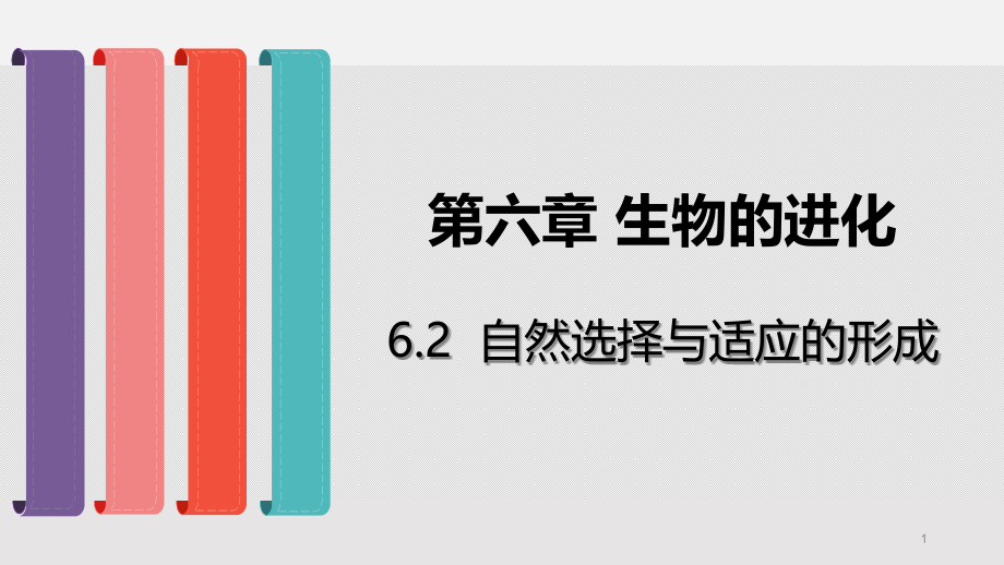 人教版新教材 《自然选择与适应的形成》优质ppt课件_第1页