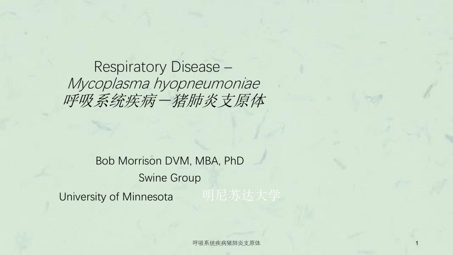 呼吸系统疾病猪肺炎支原体ppt课件_第1页