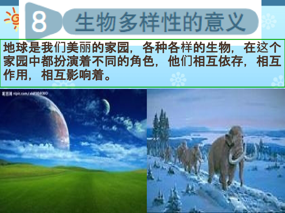 教科版科学六级上册《生物多样性的意义》课件_第1页