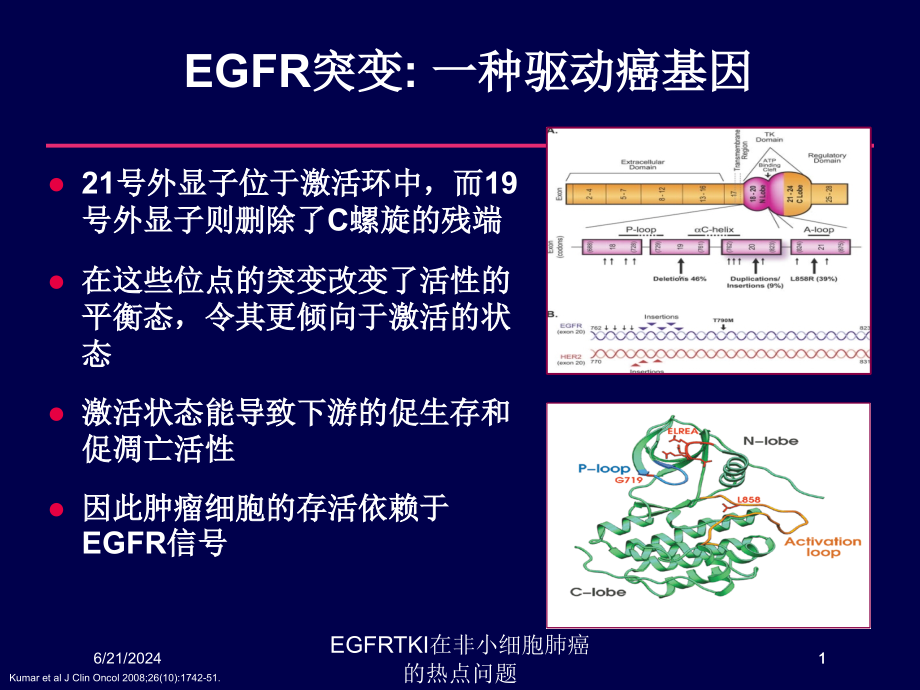 EGFRTKI在非小细胞肺癌的热点问题课件_第1页