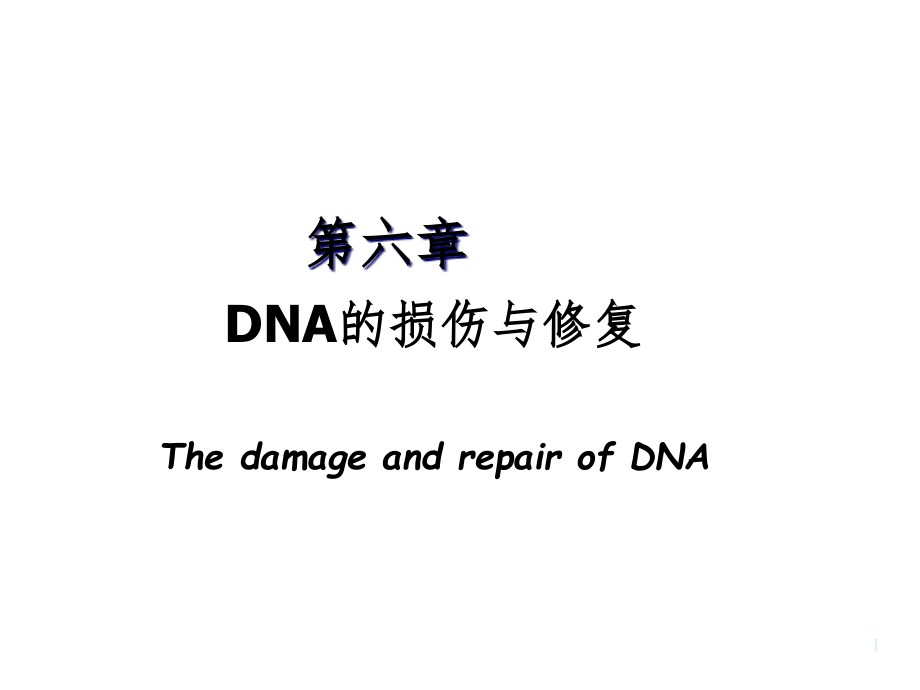DNA的损伤与修复课件_第1页