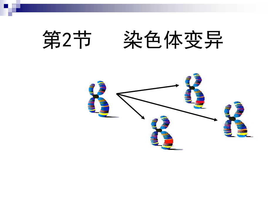 人教版必修二染色体变异ppt课件_第1页