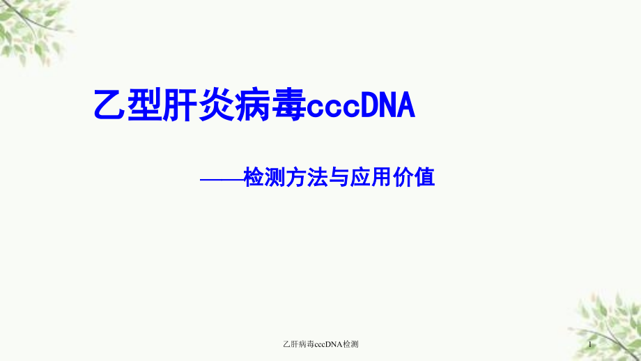 乙肝病毒cccDNA检测ppt课件_第1页