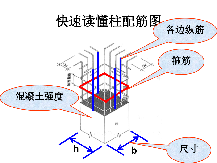 快速读懂柱配筋图-课件_第1页