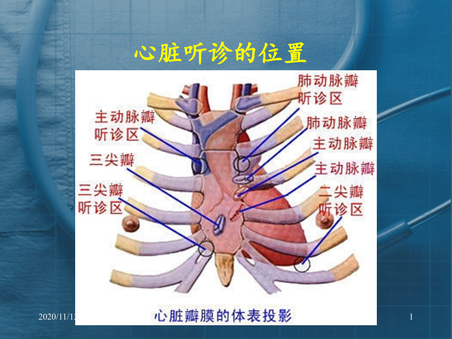 心脏听诊-课件_第1页