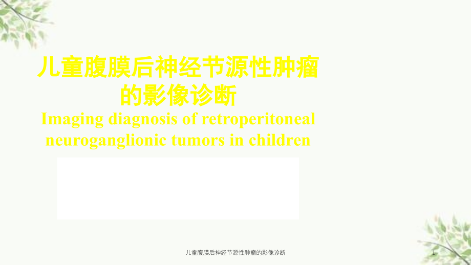 儿童腹膜后神经节源性肿瘤的影像诊断ppt课件_第1页