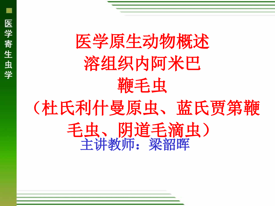 医学原生动物溶组织内阿米巴鞭毛虫课件_第1页