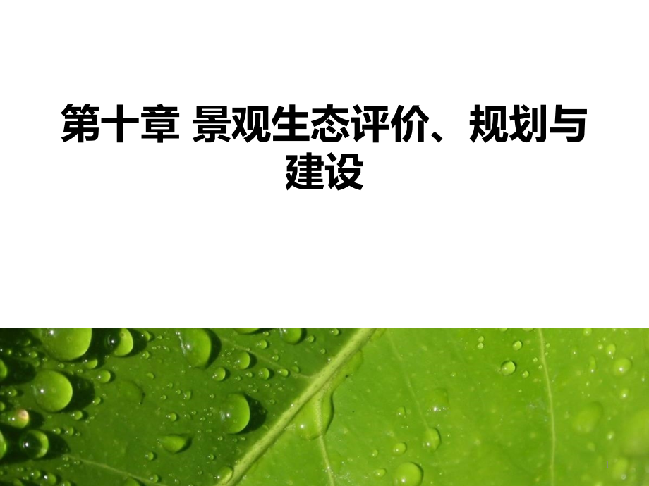 景观生态学：第十章 景观生态评价、规划与建设课件_第1页